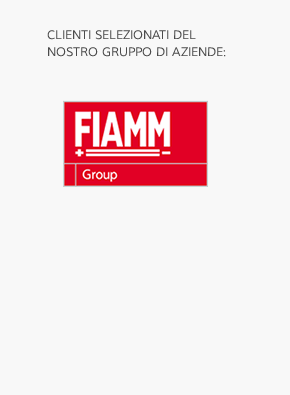 FIAMM Group
